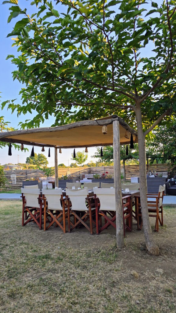 Bongobar