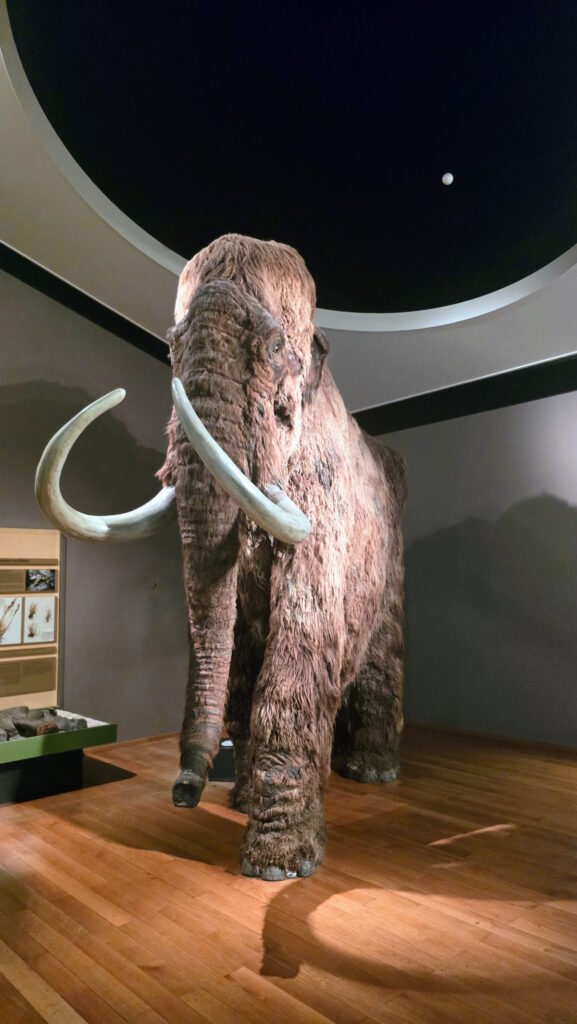 Bazel - šta videti: Prirodnjački muzej