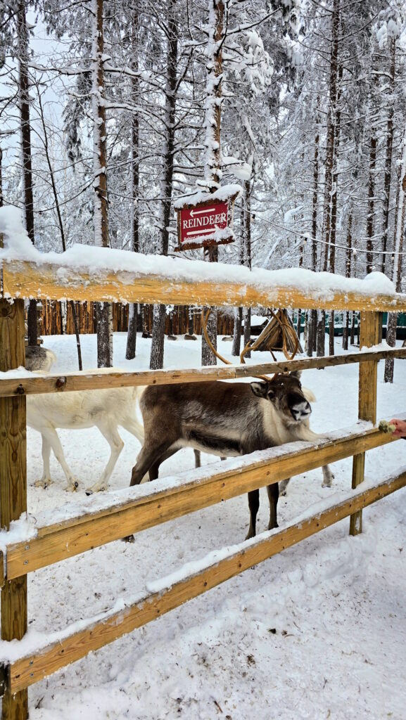 Irvasi, Deda Mrazovo selo 