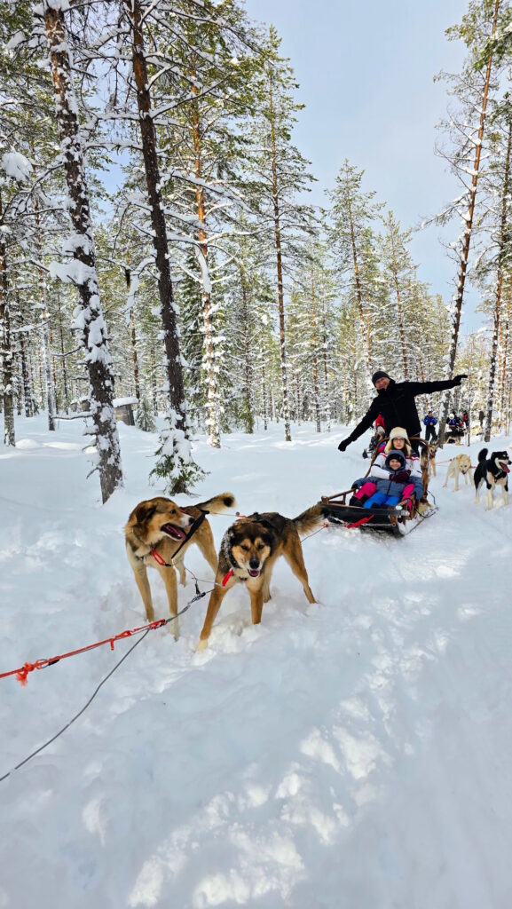 haski safari Laponija