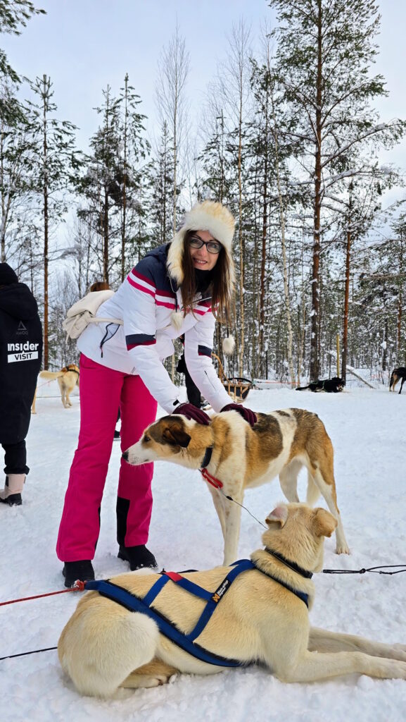 Vodič za Laponiju - husky safari
