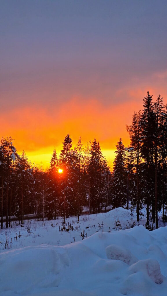 Lappi Arena u Rovaniemiju