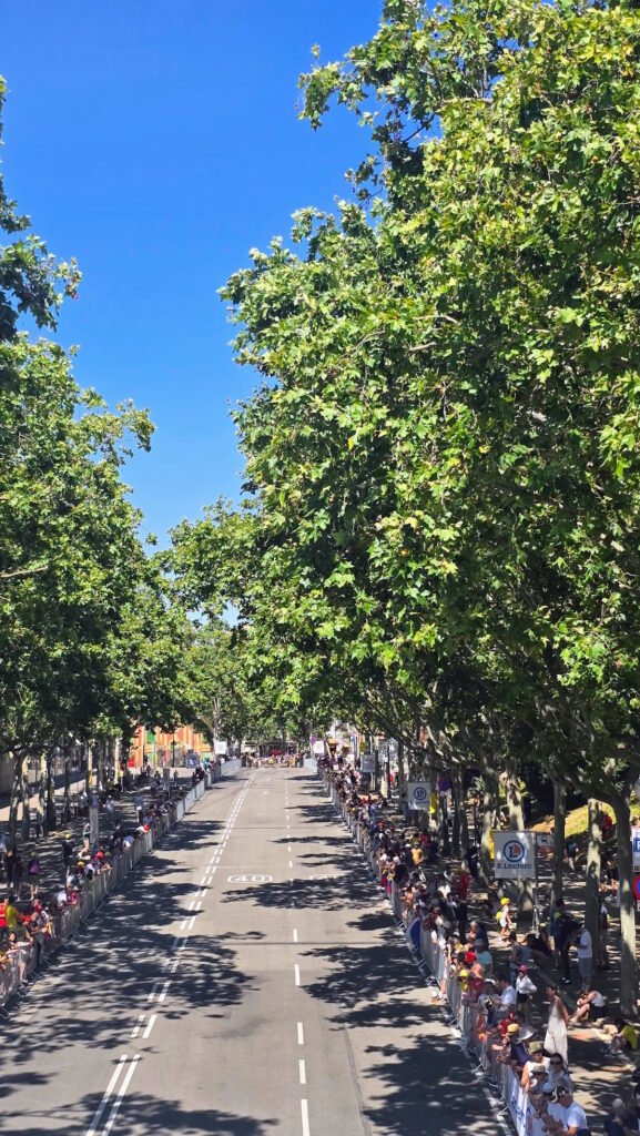 Tour de France 2026