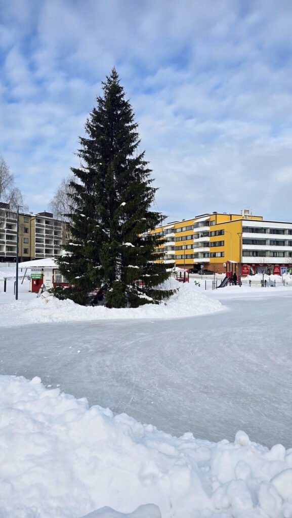 Laponija - Rovaniemi